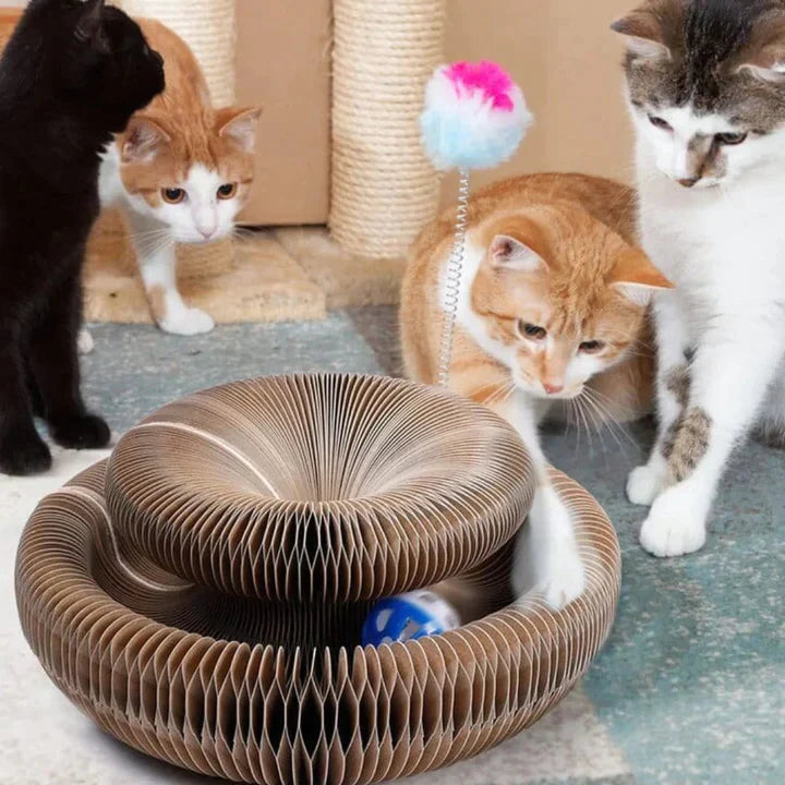 MeowMagic™ - Scratching Toy for Cats (50% OFF)