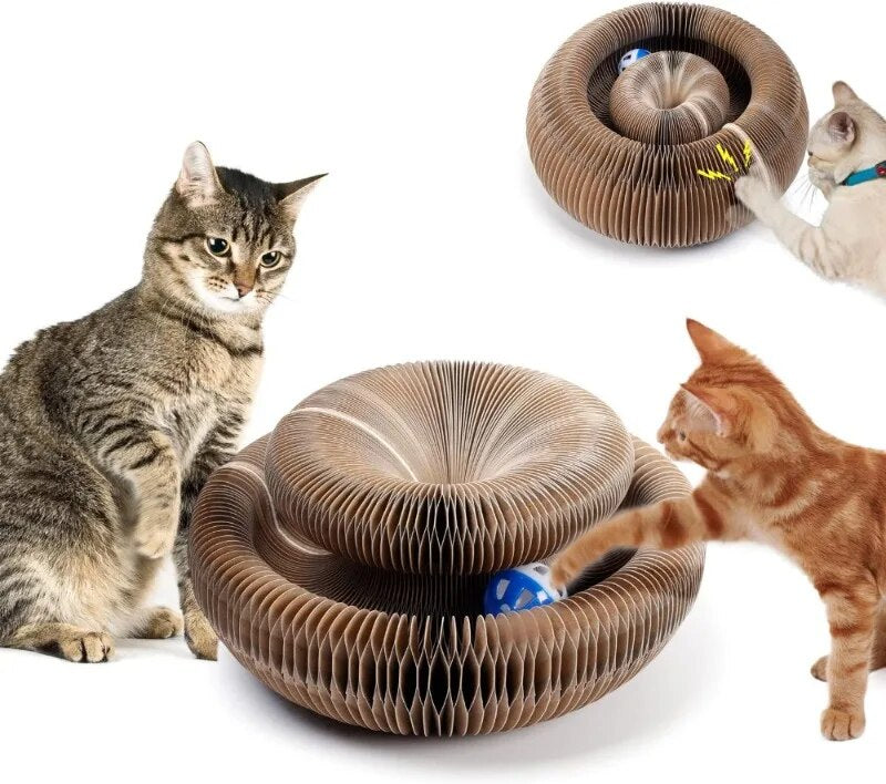 MeowMagic™ - Scratching Toy for Cats (50% OFF)