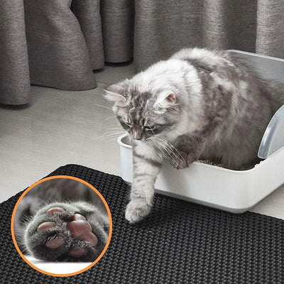 CatLittermat™ - Double Layer Cat Litter Mat (50% OFF)