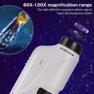 Portable pocket microscope with adjustable 60-120x zoom 