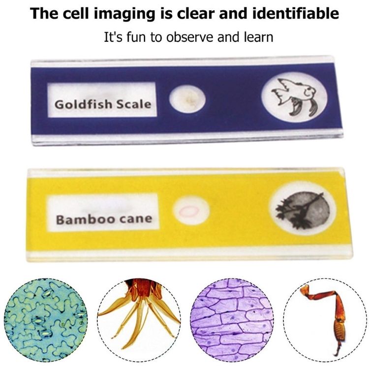 Portable pocket microscope with adjustable 60-120x zoom 