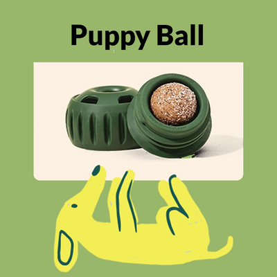 Puppy Ball 1+1 FREE 