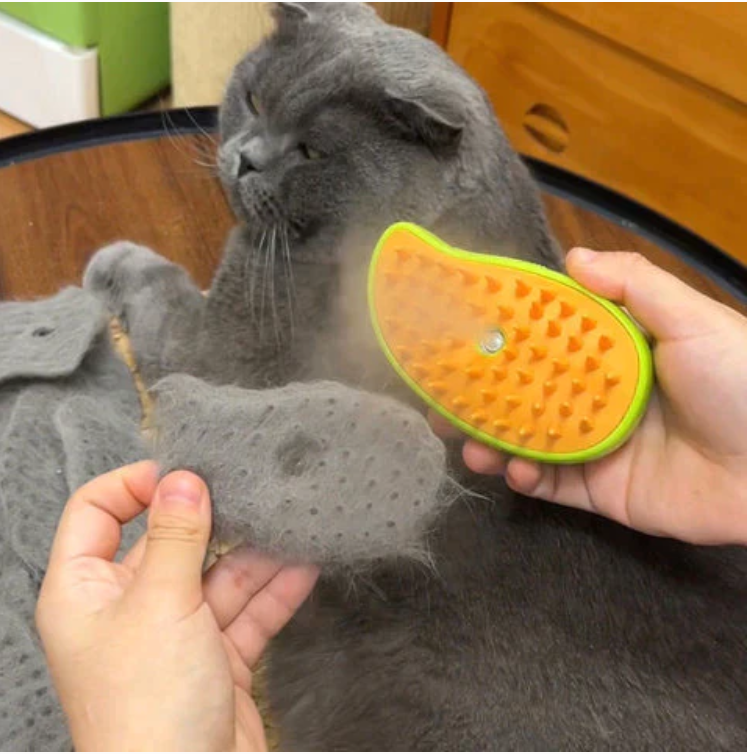 SteamBrush™ - Avocado-shaped cat grooming brush (50% OFF)