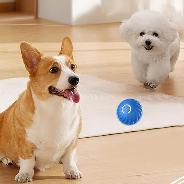 PupPlay™ - Automatic Smart Teasing Dog Ball (50% OFF) 