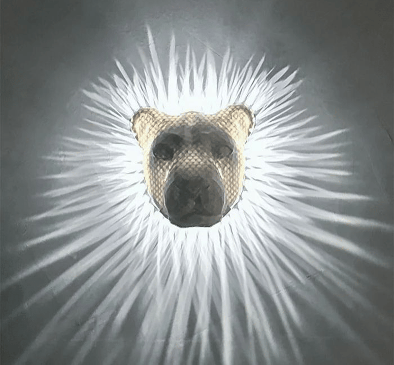 WildGlow™ - 3D Animals LED Wall Light (50% OFF)