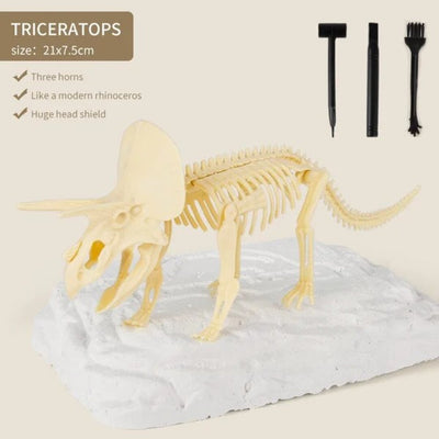 50% OFF | Dinosaur Fossil Excavation Kit 