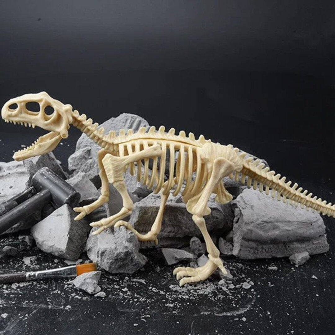 50% OFF | Dinosaur Fossil Excavation Kit 