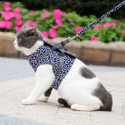 PetMo™ cat harness