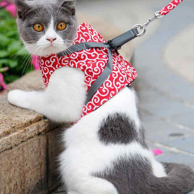 PetMo™ cat harness