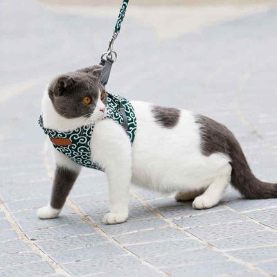 PetMo™ cat harness