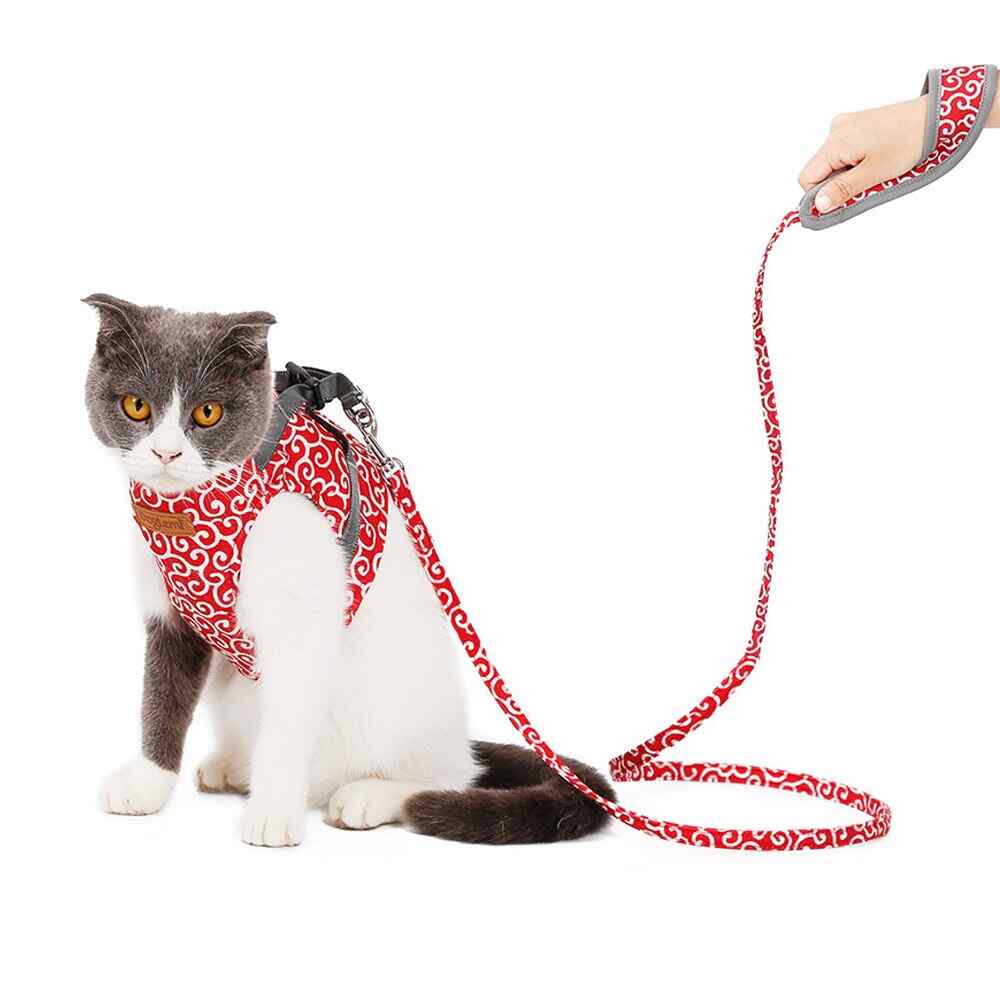 PetMo™ cat harness