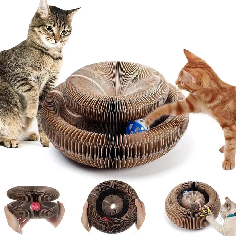 CatToy™ - Magisches Orgel Katzenspielzeug (50% RABATT)